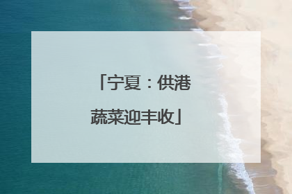 宁夏：供港蔬菜迎丰收