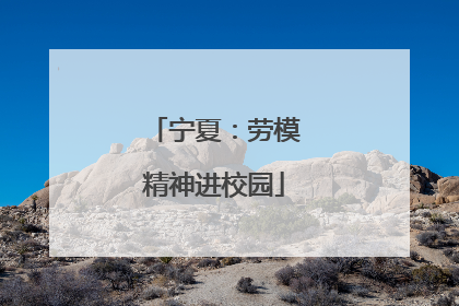 宁夏：劳模精神进校园