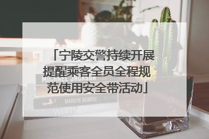 宁陵交警持续开展提醒乘客全员全程规范使用安全带活动