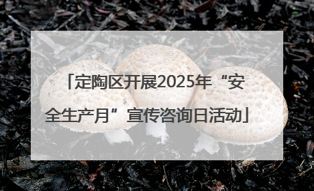 定陶区开展2025年“安全生产月”宣传咨询日活动