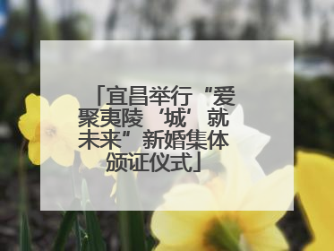 宜昌举行“爱聚夷陵‘城’就未来”新婚集体颁证仪式