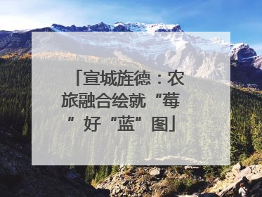 宣城旌德：农旅融合绘就“莓”好“蓝”图