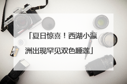夏日惊喜！西湖小瀛洲出现罕见双色睡莲