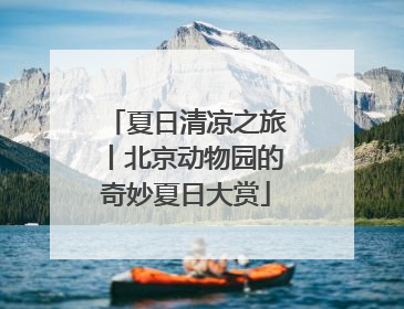 夏日清凉之旅丨北京动物园的奇妙夏日大赏