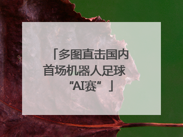 多图直击国内首场机器人足球“AI赛”