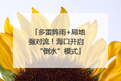 多雷阵雨+局地强对流！海口开启“倒水”模式