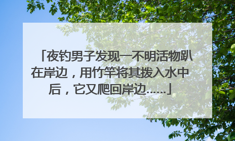 夜钓男子发现一不明活物趴在岸边，用竹竿将其拨入水中后，它又爬回岸边……
