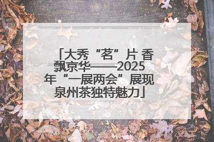 大秀“茗”片 香飘京华——2025年“一展两会”展现泉州茶独特魅力