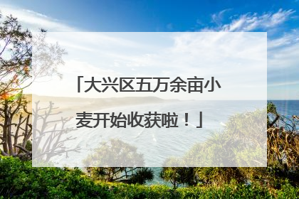 大兴区五万余亩小麦开始收获啦！