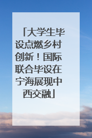大学生毕设点燃乡村创新！国际联合毕设在宁海展现中西交融