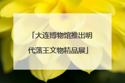 大连博物馆推出明代藩王文物精品展