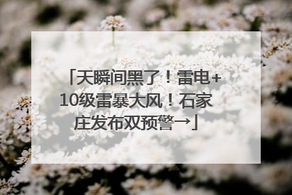 天瞬间黑了！雷电+10级雷暴大风！石家庄发布双预警→
