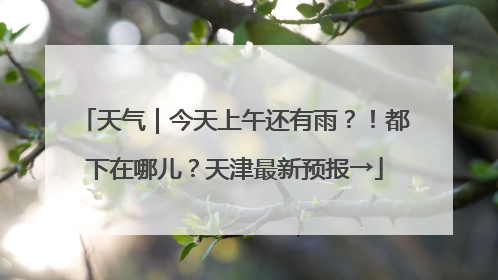 天气｜今天上午还有雨？！都下在哪儿？天津最新预报→