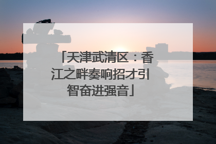 天津武清区：香江之畔奏响招才引智奋进强音