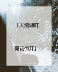 天鹅湖畔荷花盛开