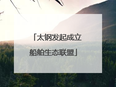 太钢发起成立船舶生态联盟