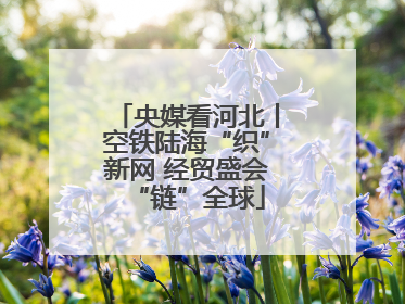 央媒看河北丨空铁陆海“织”新网 经贸盛会“链”全球