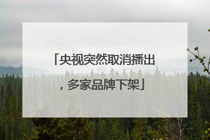 央视突然取消播出，多家品牌下架