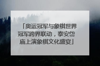 奥运冠军与象棋世界冠军跨界联动，泰安岱庙上演象棋文化盛宴