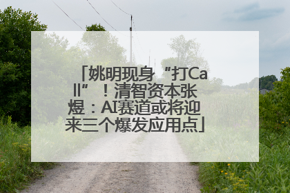姚明现身“打Call”！清智资本张煜：AI赛道或将迎来三个爆发应用点