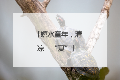 嬉水童年，清凉一“夏”