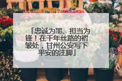 忠诚为墨、担当为锋！在千年丝路的褶皱处，甘州公安写下平安的注脚