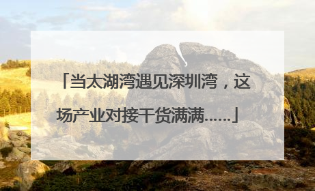 当太湖湾遇见深圳湾，这场产业对接干货满满……