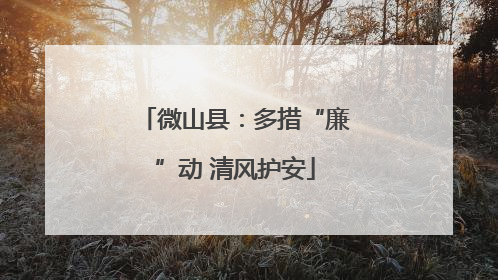 微山县：多措“廉”动 清风护安