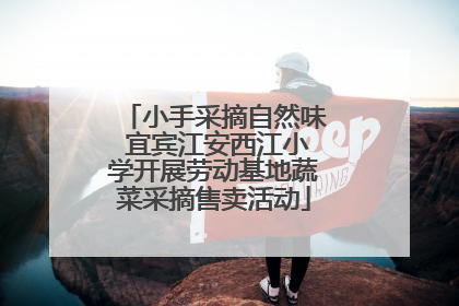 小手采摘自然味 宜宾江安西江小学开展劳动基地蔬菜采摘售卖活动