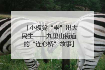 小板凳“坐”出大民生——九里山街道的“连心桥”故事