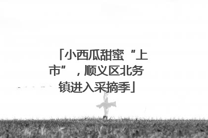 小西瓜甜蜜“上市”，顺义区北务镇进入采摘季