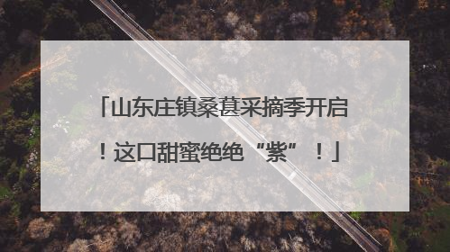 山东庄镇桑葚采摘季开启！这口甜蜜绝绝“紫”！