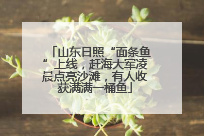 山东日照“面条鱼”上线，赶海大军凌晨点亮沙滩，有人收获满满一桶鱼