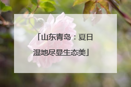 山东青岛：夏日湿地尽显生态美