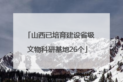 山西已培育建设省级文物科研基地26个