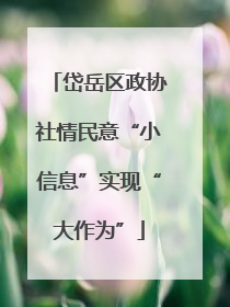 岱岳区政协社情民意“小信息”实现“大作为”
