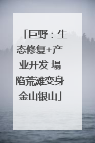 巨野：生态修复+产业开发 塌陷荒滩变身金山银山