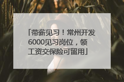 带薪见习！常州开发6000见习岗位，领工资交保险可留用