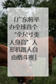 广东将举办全球首个“全尺寸类人身高”人形机器人自由格斗赛
