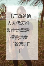 广西乡镇人大代表推动土地盘活 撂荒地变“致富园”
