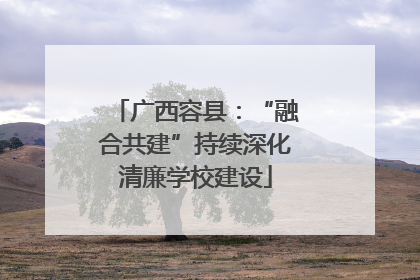 广西容县：“融合共建”持续深化清廉学校建设
