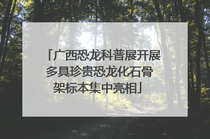 广西恐龙科普展开展 多具珍贵恐龙化石骨架标本集中亮相