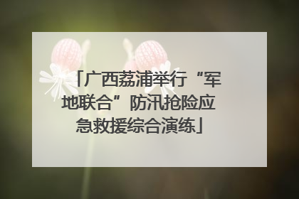 广西荔浦举行“军地联合”防汛抢险应急救援综合演练