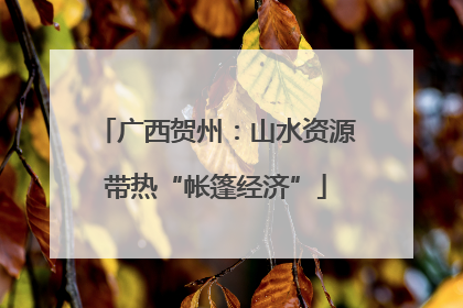 广西贺州：山水资源带热“帐篷经济”