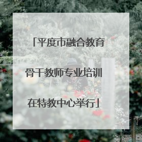 平度市融合教育骨干教师专业培训在特教中心举行