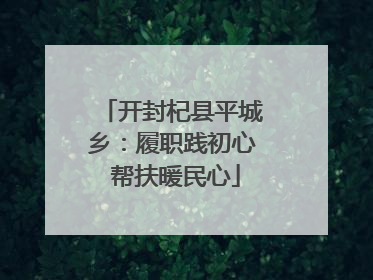 开封杞县平城乡：履职践初心 帮扶暖民心