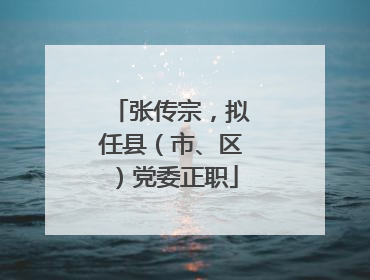 张传宗，拟任县（市、区）党委正职