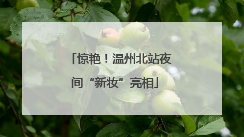惊艳！温州北站夜间“新妆”亮相