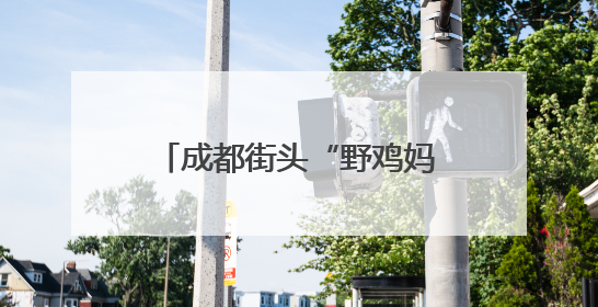成都街头“野鸡妈妈带崽过马路”，车辆排队让行暖人心