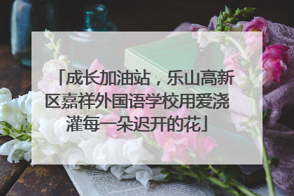 成长加油站，乐山高新区嘉祥外国语学校用爱浇灌每一朵迟开的花